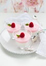 Raspberry yogurt dessert Royalty Free Stock Photo