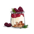 Raspberry yogurt healthy food vector isolated