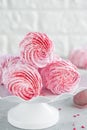 Raspberry zephyr, Russian marshmallows on a cake stand on a grey concrete background. Copy space, selective focus Royalty Free Stock Photo