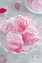 Raspberry zephyr, Russian marshmallows on a cake stand on a grey concrete background. Copy space, selective focus Royalty Free Stock Photo