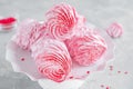 Raspberry zephyr, Russian marshmallows on a cake stand on a grey concrete background. Copy space, selective focus Royalty Free Stock Photo