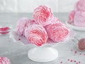 Raspberry zephyr, Russian marshmallows on a cake stand on a grey concrete background. Copy space, selective focus Royalty Free Stock Photo