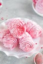 Raspberry zephyr, Russian marshmallows on a cake stand on a grey concrete background. Copy space, selective focus Royalty Free Stock Photo