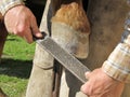 Rasping a Horseshoe and Hoof Royalty Free Stock Photo