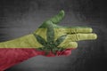 Rasta flag painted on male hand like a gun Royalty Free Stock Photo