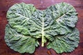 Rastan Collard greens, collards - popular leafy vegetables in Balkan cuisine