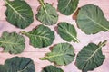 Balkan cuisine. Rastan - popular leafy vegetables. White rustic background, flat lay