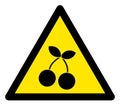 Raster Cherry Warning Triangle Sign Icon