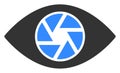 Raster Flat Shutter Eye Icon Royalty Free Stock Photo