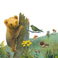 Raster illustration with teddy bear, bird, plants and mushrooms. Forest picture
