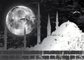 Raster moon and mosque illustration