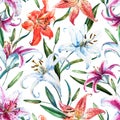 Raster tropical watercolor lilly pattern Royalty Free Stock Photo