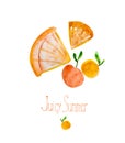 Raster watercolor illustration. Citrus fruits. Citrus fruits.