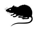 Rat Animal Silhouette, Mouse Rodents