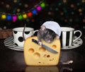 Rat cook cuts cheese on table Royalty Free Stock Photo