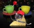 Rat cuts cheese near tea cups 2 Royalty Free Stock Photo