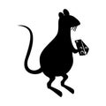 Rat eating cheese silhouette Royalty Free Stock Photo