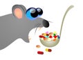Rat eating poison