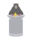 Rat in garbage can. Rodent in trash. big mouse in Dumpster. Vector illustration