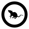 Rat icon black color in circle