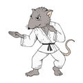 Rat karate fighter Royalty Free Stock Photo
