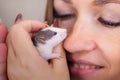 The rat kisses the girl. Mouse and man Royalty Free Stock Photo