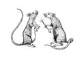 Rat or mouse with a match. Graphic wild animal. Hand drawn vintage sketch. Engraved grunge elements.