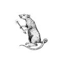 Rat or mouse with a match. Graphic wild animal. Hand drawn vintage sketch. Engraved grunge elements.