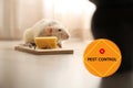 Rat near mousetrap with cheese and warning sign Pest Control