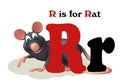 Rat pet animal with alphabet Royalty Free Stock Photo