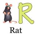 Rat pet animal with alphabet Royalty Free Stock Photo