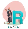 Rat pet animal with alphabet Royalty Free Stock Photo