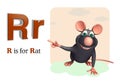 Rat pet animal with alphabet Royalty Free Stock Photo
