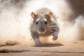 Rat scurrying across a dusty floor Royalty Free Stock Photo