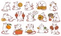 Rat set with different Chinese new year symbols. Cute mouse holds money and Chinese lanterns eats cheese and festive Royalty Free Stock Photo