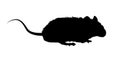 rat silhouette - vector illustration Royalty Free Stock Photo