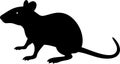 Rat silhouette vector illustration Royalty Free Stock Photo