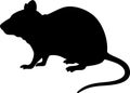 Rat silhouette vector illustration Royalty Free Stock Photo