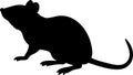Rat silhouette vector illustration Royalty Free Stock Photo