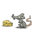 Rat smelling the cheese