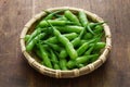 Rat tail radish, edible seed pod of radish