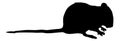 Rat vector silhouette clipart