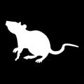 Rat white color icon .
