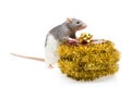 Rat with wrapped present Royalty Free Stock Photo