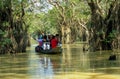 Swam forest Royalty Free Stock Photo