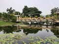 Yellow Naga statue on bridge over lotus pond and reflect in water