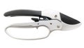 Ratchet pruning shears