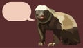 Ratel honey badger