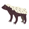 Ratel. Vector illustration