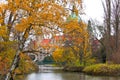 Rathaus from Hanover in autumn